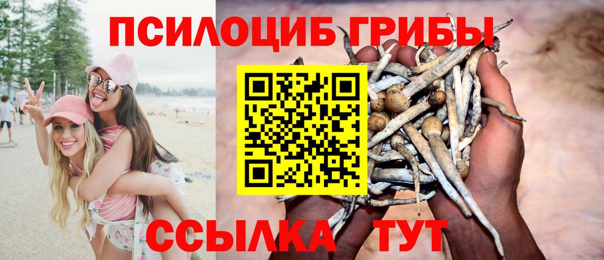 Псилоцибиновые грибы Magic Shrooms Мыски